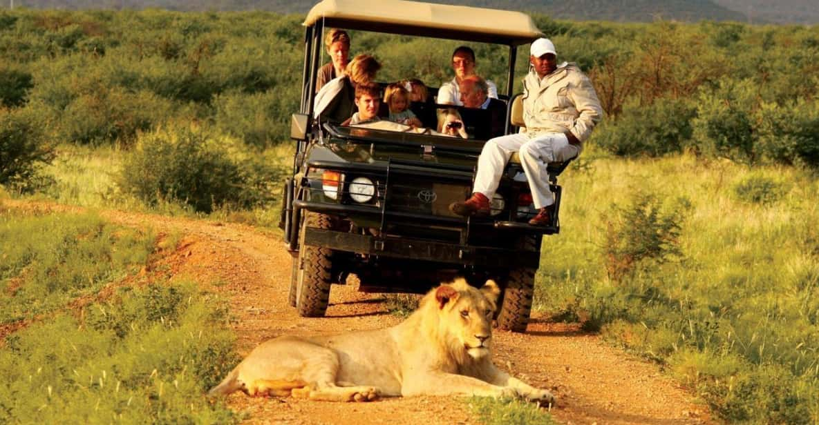 Half Day Safari Tala Game Reserve & Lion Park From Durban - Wildlife Experiences