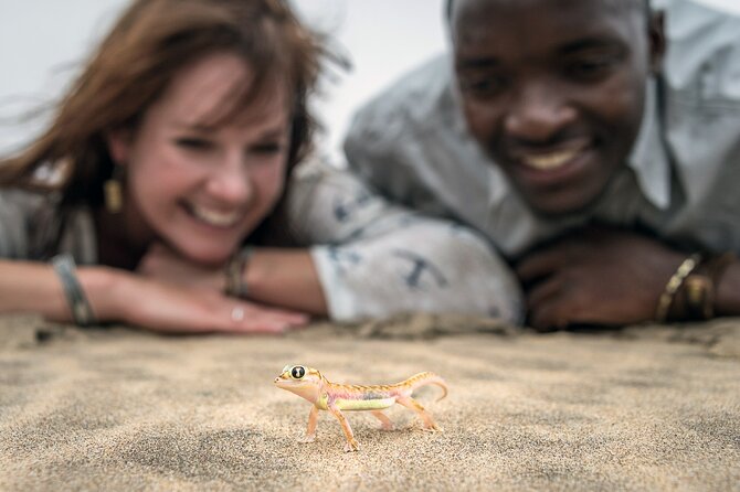 Half-Day Sandwich Harbour Tour From Walvis Bay With Lunch - Discovering Sandwich Harbour