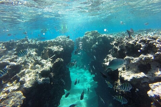 Half Day Sosua Sunset Cruise With Snorkeling - Cancellation Policy