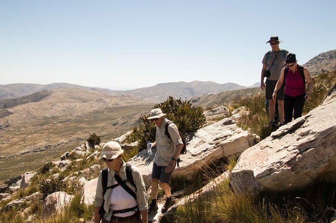 Half-Day Swartberg Pass PRIVATE Tour (Including Lunch & Transfer - Oudtshoorn) - Group Size and Accessibility
