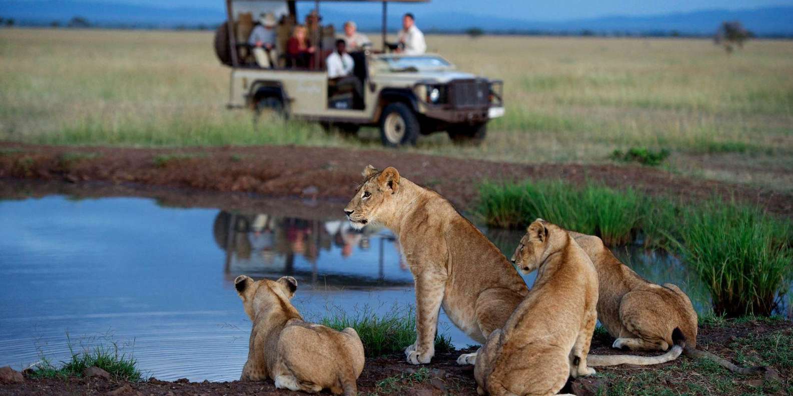 Half Day Tala Game Reserve & Natal Lion Park From Durban - Vibrant Wildlife at Tala Game Reserve