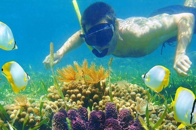 Half Day Tour Snorkeling in Nha Trang Bay Included Lunch - Pricing Details