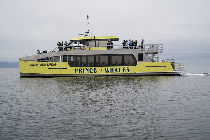 Half-Day Whale Watching Adventure From Vancouver - Wildlife Encounter Highlights