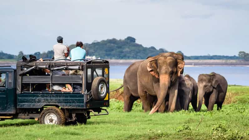 Half-Day Wild Safari in Udawalawa National Park - Itinerary and Transportation