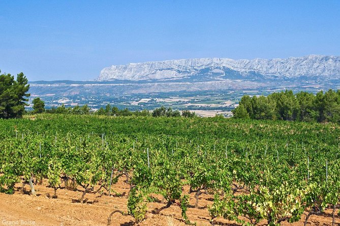 Half Day Wine Tour in Côtes De Provence Sainte-Victoire From Aix En Provence - Inclusions