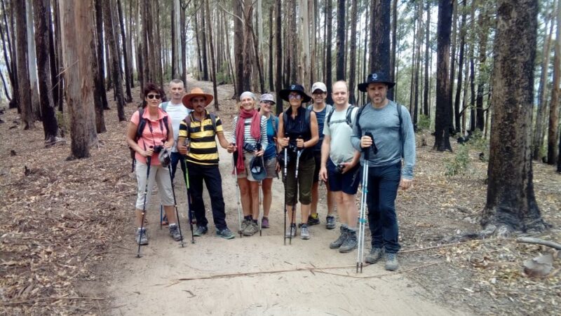 Haputale: Ella, Small Adams Peak, & Nine Arches Bridge Hike - Itinerary Highlights