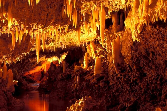 Harrisons Cave Tour in Barbados - Pickup and Timing Information