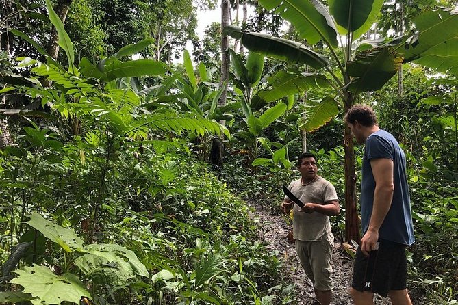 Healing, Treatment With Medicinal Plants 7 Days Green Wild Amazon Expedition - Meals Included