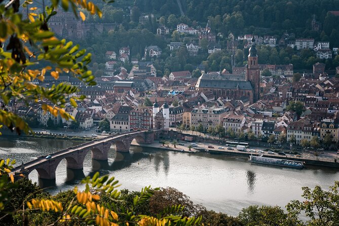 Heidelberg Like a Local: Customized Private Tour - Personalized Local Guidance