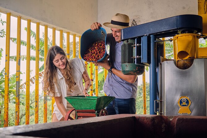 Height Coffee Tour - Included in the Tour