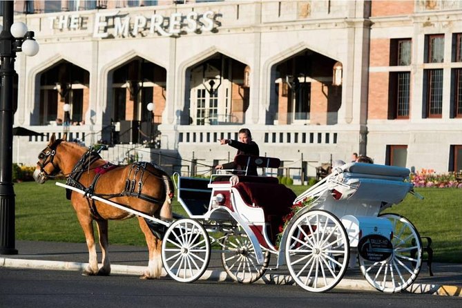 Heritage Horse-Drawn Carriage Experience in Victoria - Meeting Location and Accessibility