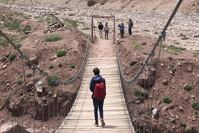 High Andes With Trekking to Quebrada Del Durazno - Lunch and Refreshments