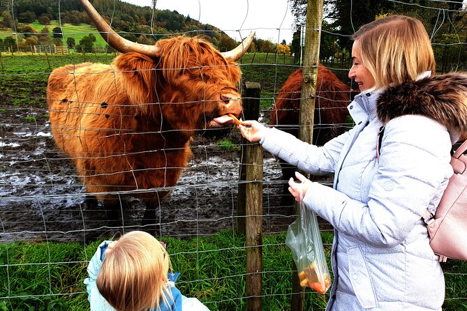 Highlands, Glencoe and Glenfinnan Viaduct Luxury Private Tour - Whisky Distillery Experience