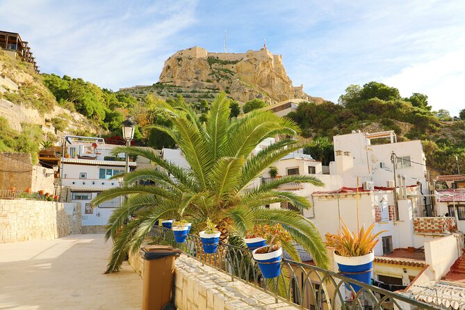 Highlights & Hidden Gems With Locals: Best of Alicante Private Tour - Guide Quality and Insights