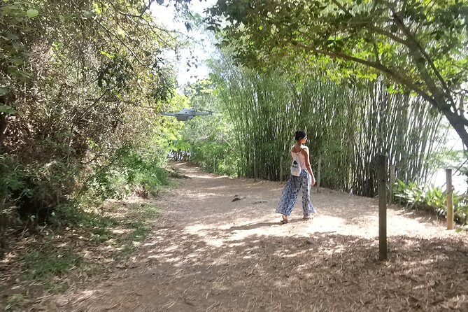 Highlights of Abraão and Enseada Das Estrela in a 4-Hour Tour - Group Size and Pricing