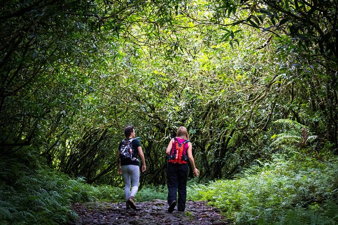 Hike: Bélouve Rainforest and Trou De Fer - Hike Inclusions