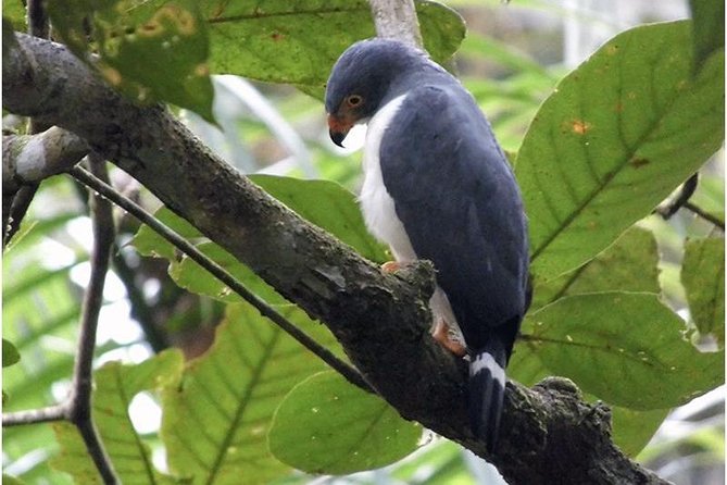 Hike in the Gandoca-Manzanillo Refuge - Tour Itinerary