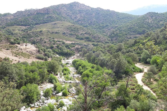 Hike to Gorropu Canyon Review - Highlights of the Experience