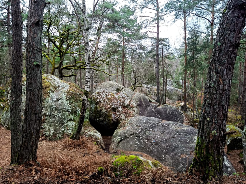 Hiking Adventure in the Fontainebleau Forest - Itinerary Details