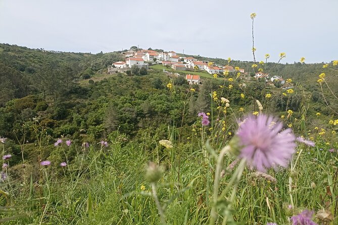 Hiking and Wine Tasting Experience - Verified Customer Reviews