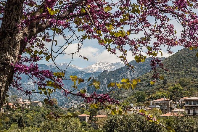 Hiking Around Kardamyli - Panoramic Vistas and Seasonal Views
