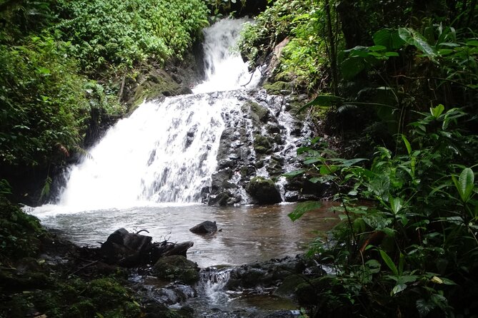 Hiking Experience in El Quetzal Private Reserve - Schedule and Availability Details