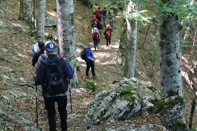 Hiking on Faito Mountain From Sorrento - Booking Process Details