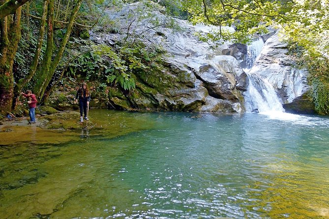Hiking Tour Lost in the Forest - Reviews and Recommendations