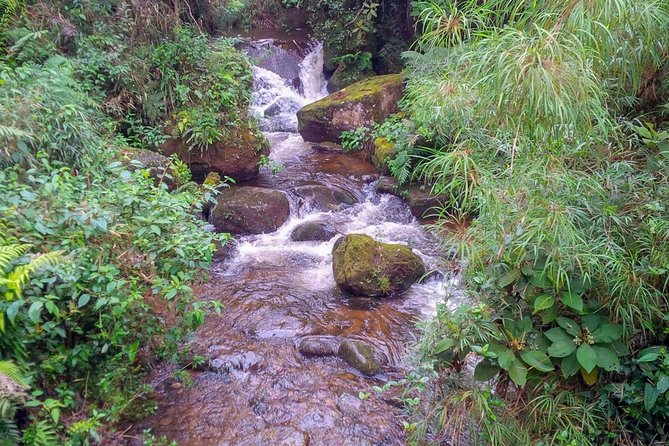 Hiking Tour to the Tallest Waterfall in Colombia - Hiking Experience