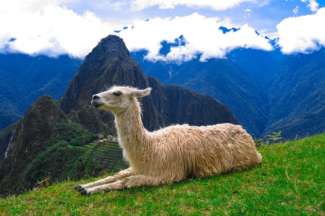 Hire a Fluent English Speaking and Professional Machu Picchu Guide - Key Features of the Guide
