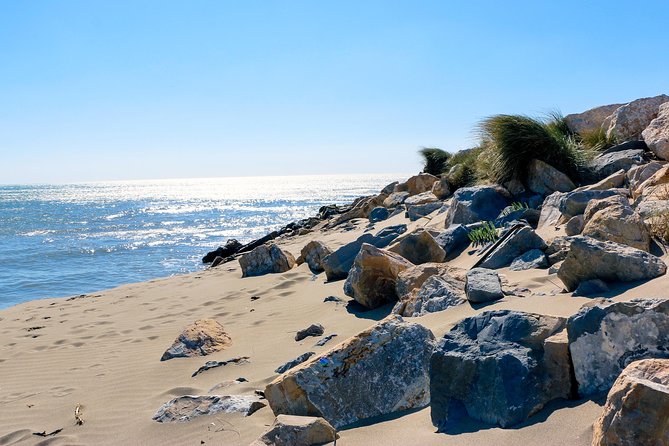 Historic Arles to the Wild & Windswept Beaches of the Camargue Private Tour - Arles: Roman Ruins