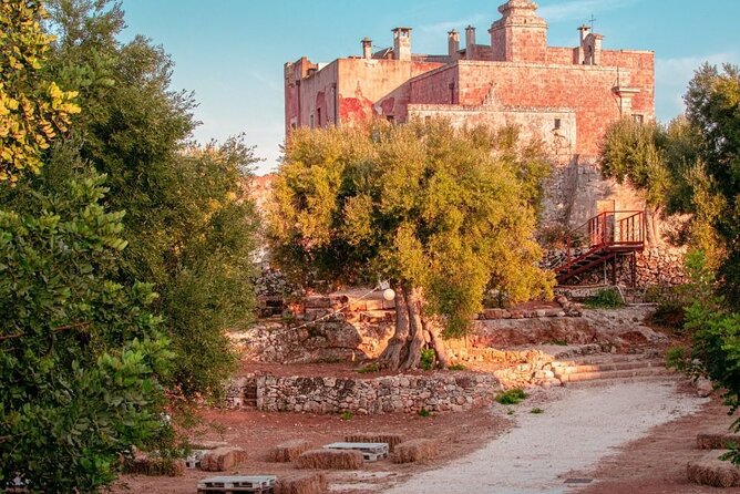 Historical Tour of Rural Park With 3 Apulian Wines Tasting - Meeting Point and Accessibility
