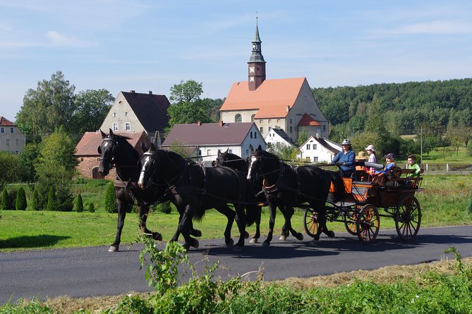 Horse and Carriage Tours With Polish Traditional Food Experience - Inclusions