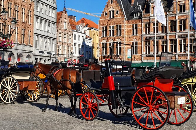 Horse-Drawn Carriage Ride and Guided Walk - Carriage Ride Experience