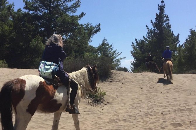 Horse Ride & BARBECUE on Ritoque Beach&Sand Dunes FROM VALPARAISO - Pickup Information