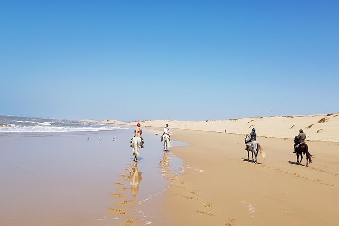 Horse Ride on the Beach in Essaouira - Pricing and Booking Details