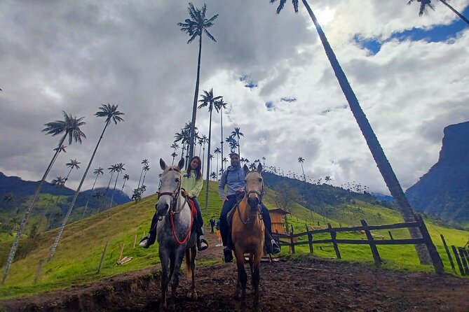 Horse Riding Cocora Valley - Transportation Options
