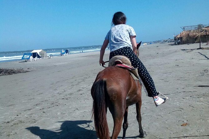 Horse Riding in Cartagena - Location and Duration of the Tour