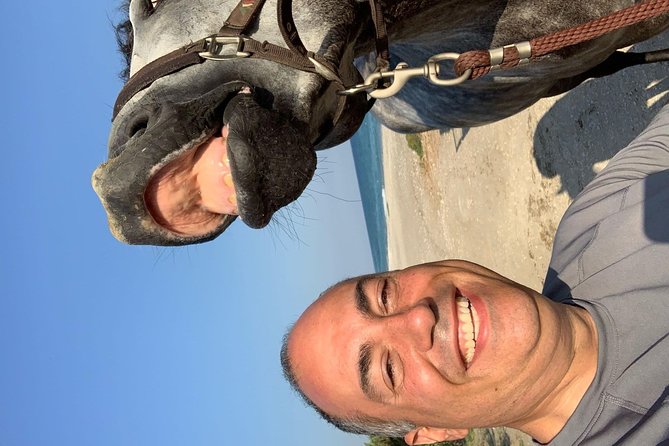 Horse Riding on the Beach, Rhodes - Whats Included in the Adventure
