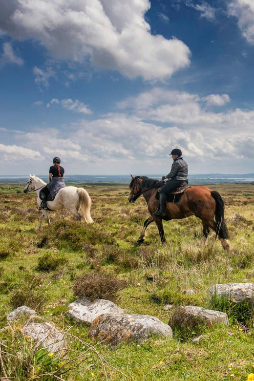 Horse Riding the Dirt Trail. Clare. Guided. 1 Hour - Good To Know