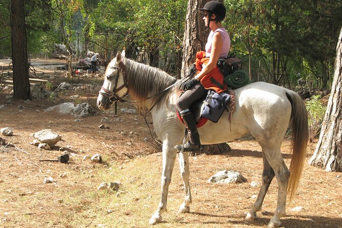 Horse Riding Tour in Bodrum With Hotel Pick up - Transportation and Pick-Up Details