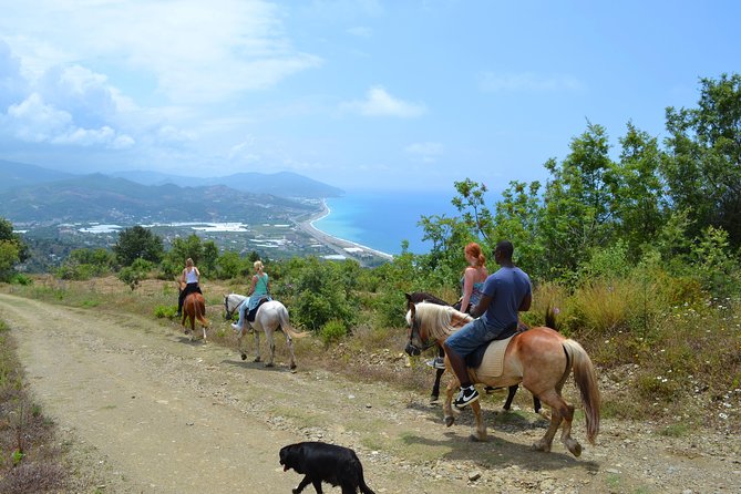 Horse Safari to Ancient Syedra - Inclusions