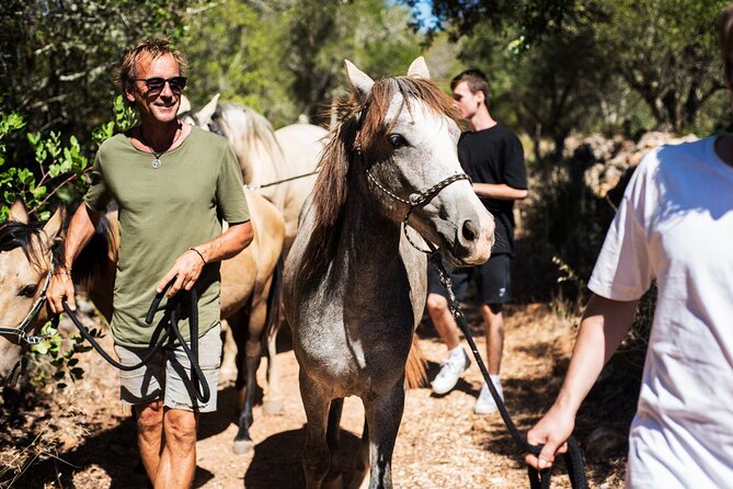 Horse Sanctuary: a Nature Walk With Rescued Horses by Your Side - Activity Details and Expectations