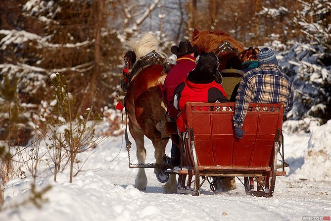 Horse Sleigh Ride in the Polish Countryside, Private Tour From Krakow - Weather Policy