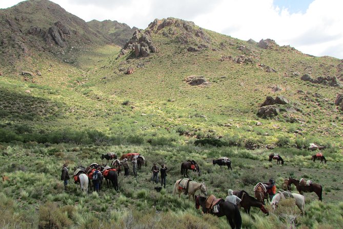 Horseback Expedition to the Andes, 3 Days - Traveler Reviews and Feedback