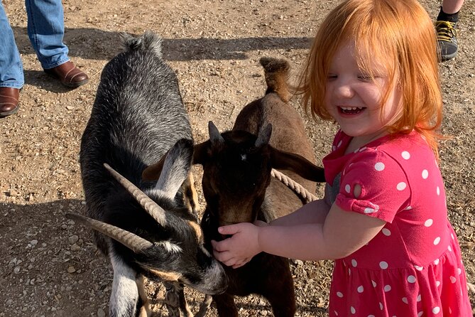 Horseback Rides, Interactions, and Petting Zoo - Tour Scheduling and Availability