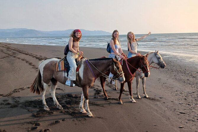 Horseback Riding in Tarcoles Garabito, a Life Experience. - Meeting the Horses