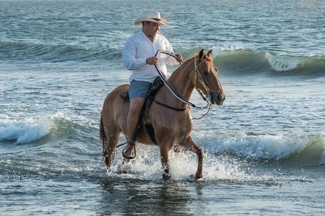 Horseback Riding on the Beach With Paso Colombiano Show,Cartagena - Included Experiences