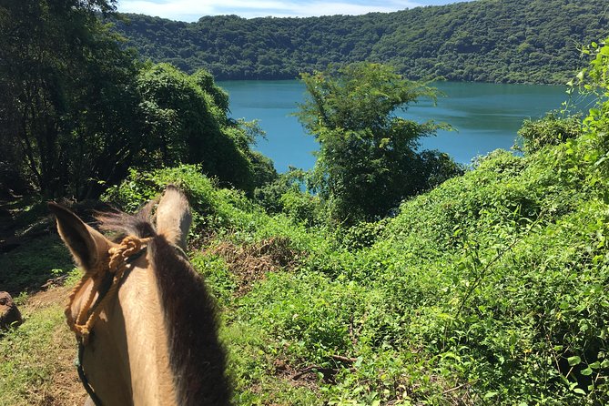 Horseback Riding Private Tour - Pickup and Dropoff