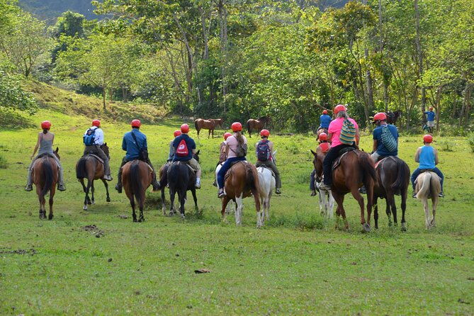 Horseback Riding to La Fortuna Waterfall - Tour Details